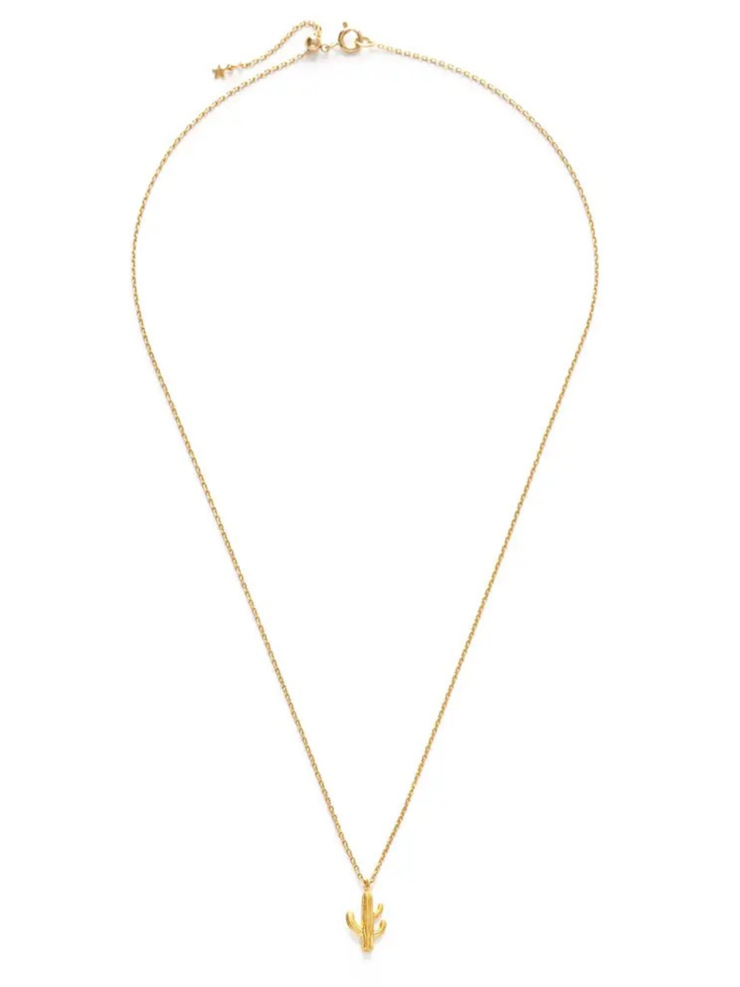 Amano Studios Saguaro Necklace featuring a silver cactus pendant on a delicate chain, perfect for desert-inspired jewelry style.