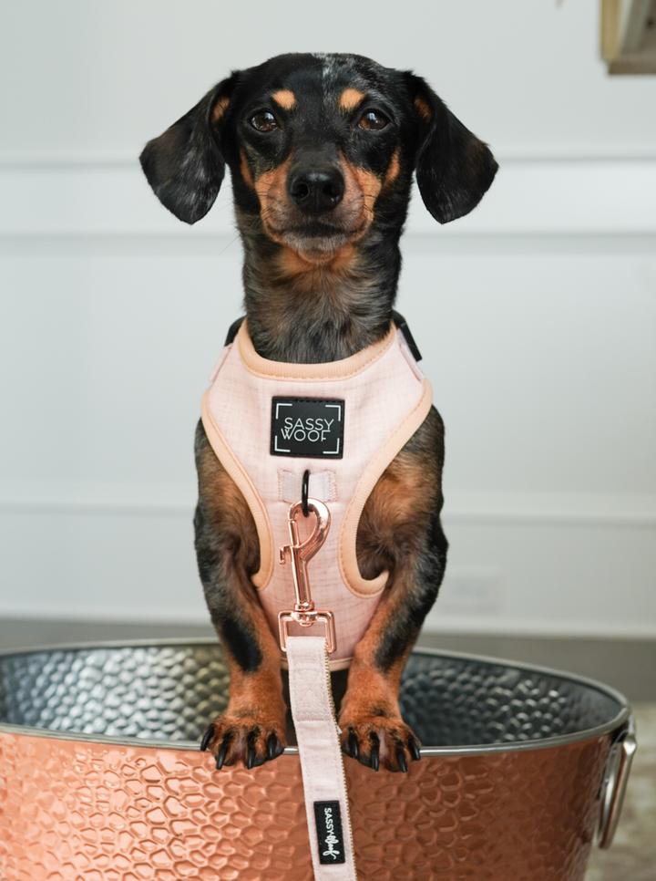 Dog Adjustable Harness - Mimi & Rae
