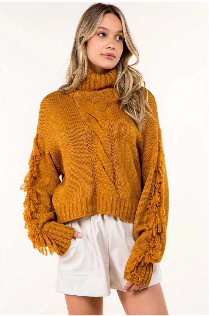 Fringed High Neck Sweater