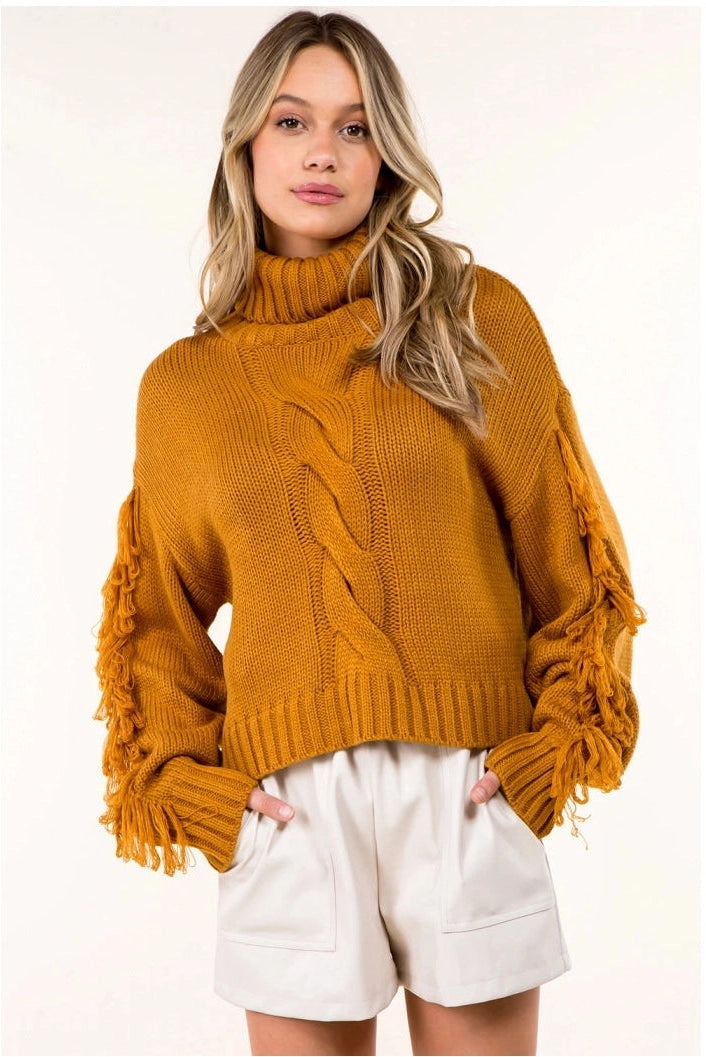 Fringed High Neck Sweater