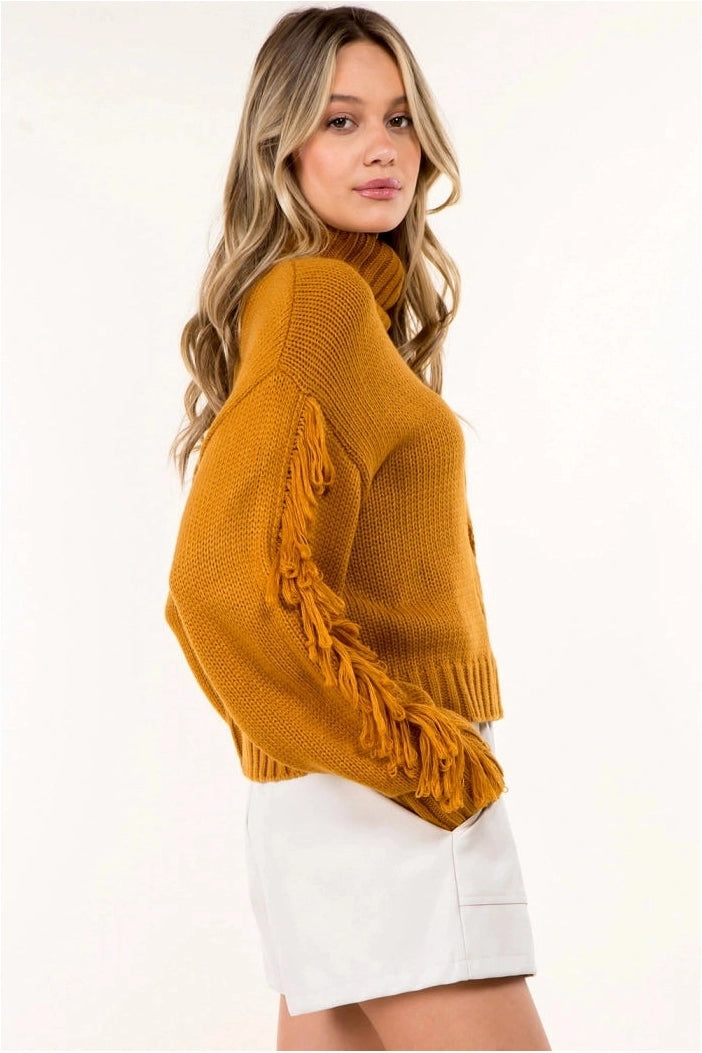 Fringed High Neck Sweater