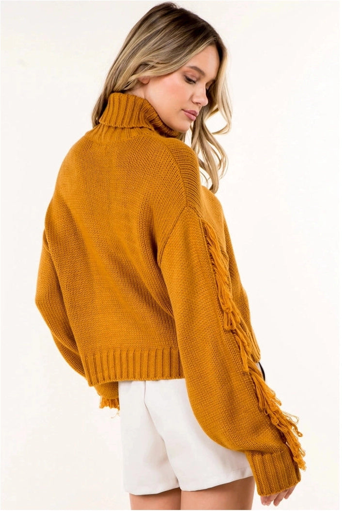 Fringed High Neck Sweater