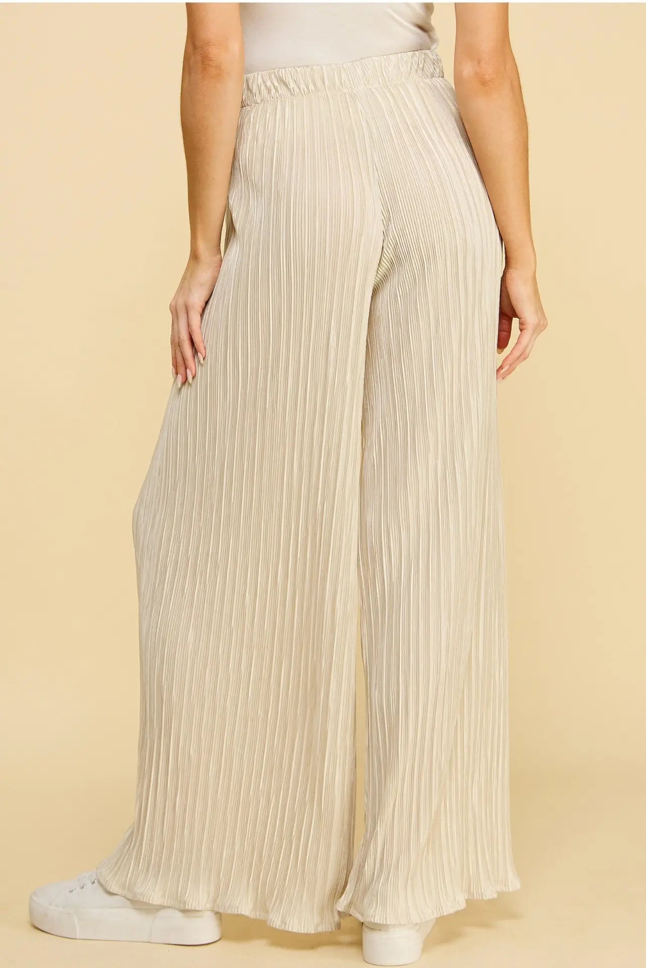 Wide Leg Pleated Pants