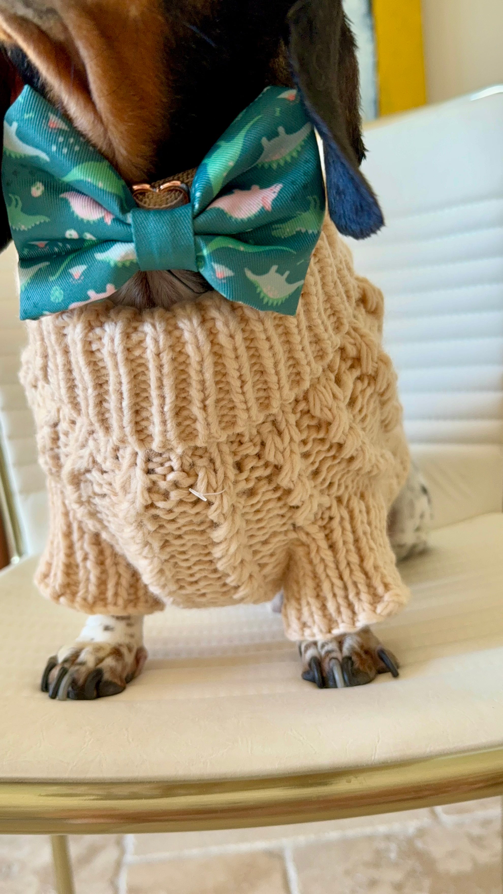 Dog Cable Knit Sweater