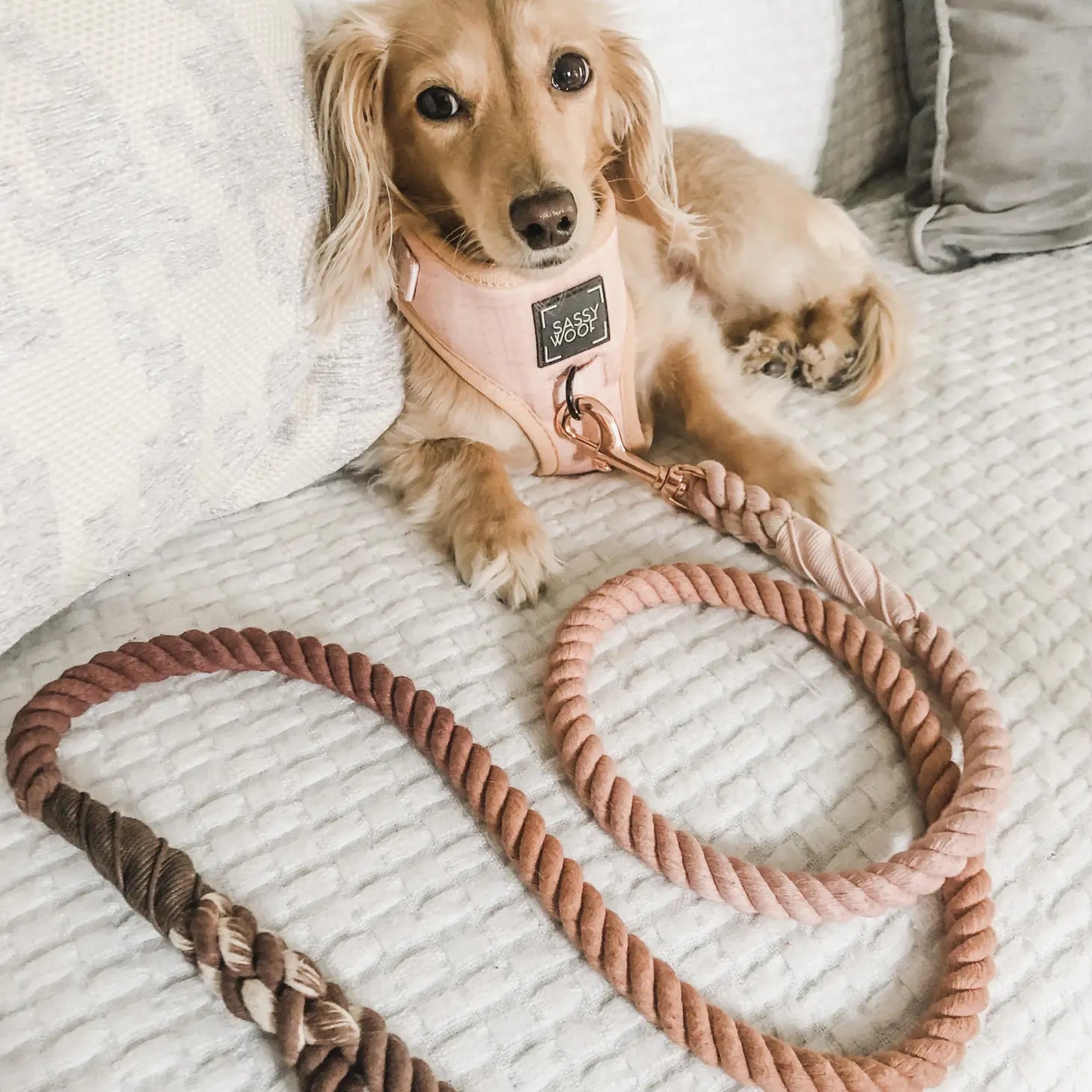 Dog Rope Leash